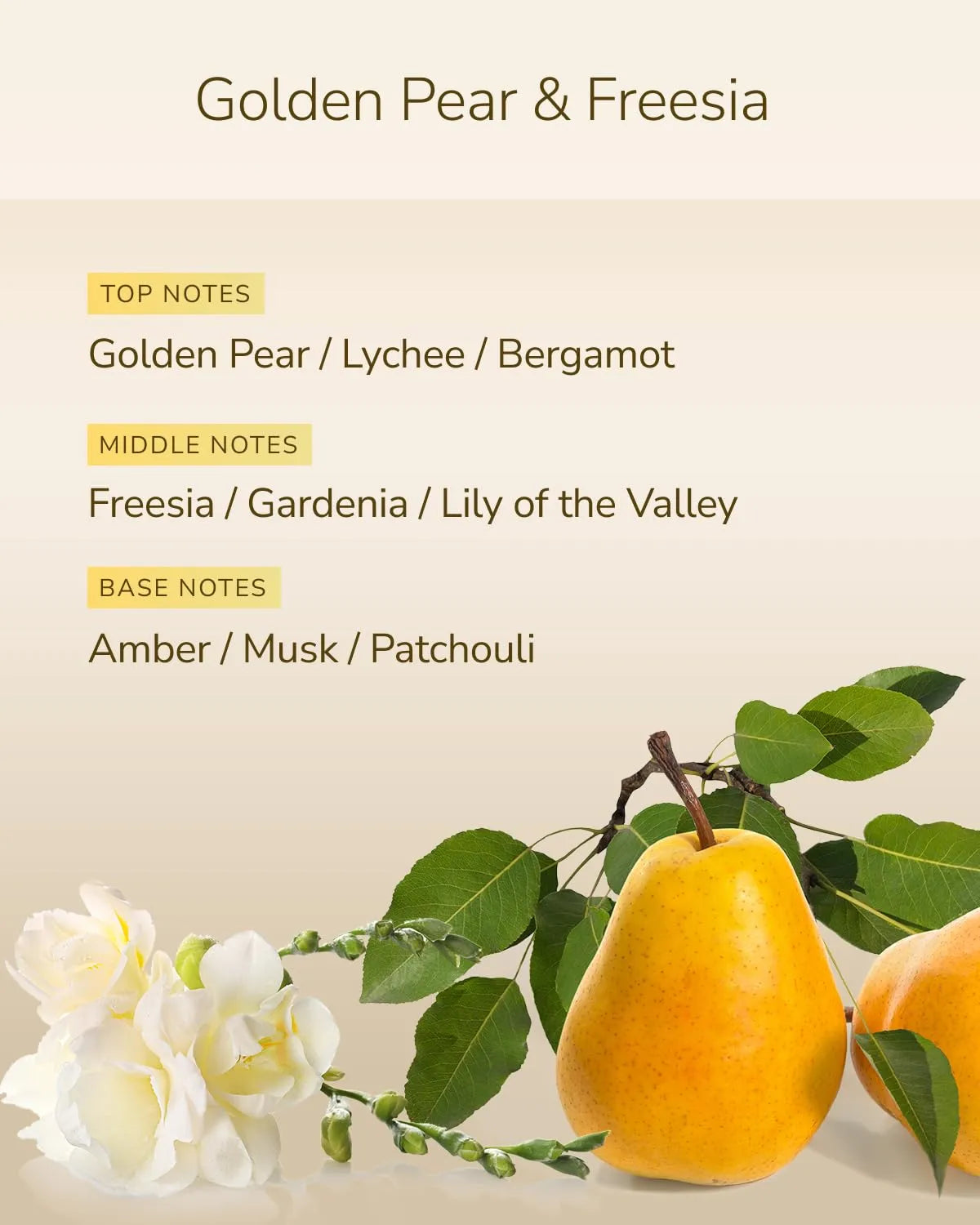 SILK THE RICH Hair Oil GPF