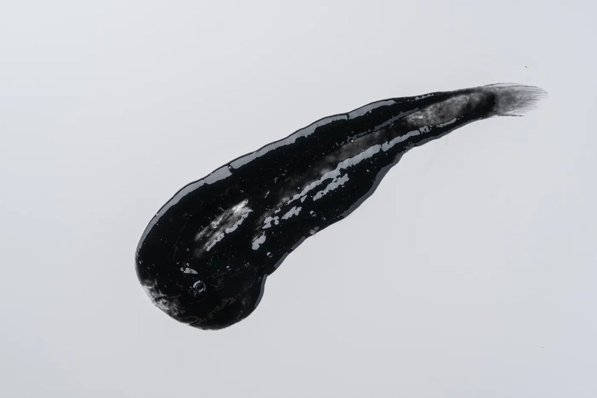Black charcoal shampoo texture